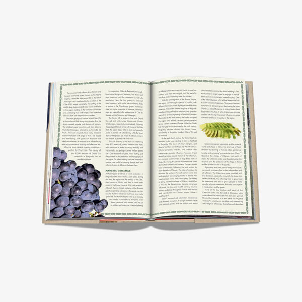 100 burgundy exceptional wine